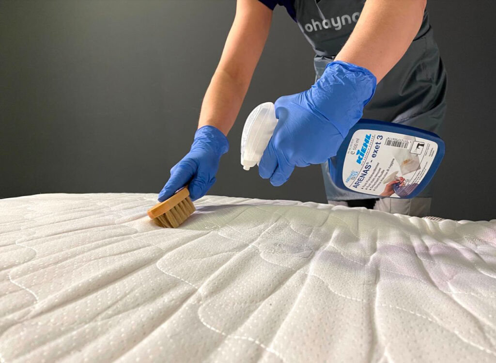 Price of professional mattress cleaning in Prague